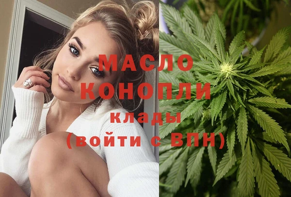 гидра Абаза