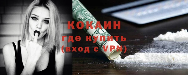 гидра Абаза