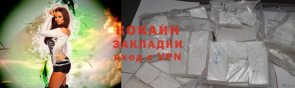 гидра Абаза
