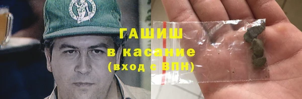 гидра Абаза