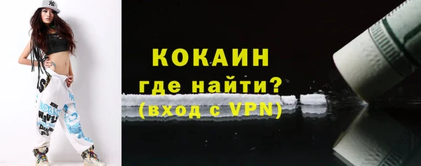 гидра Абаза