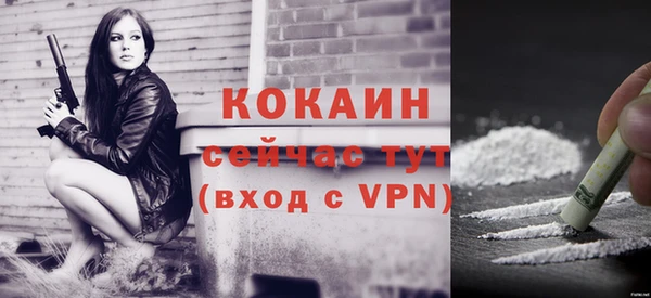 гидра Абаза