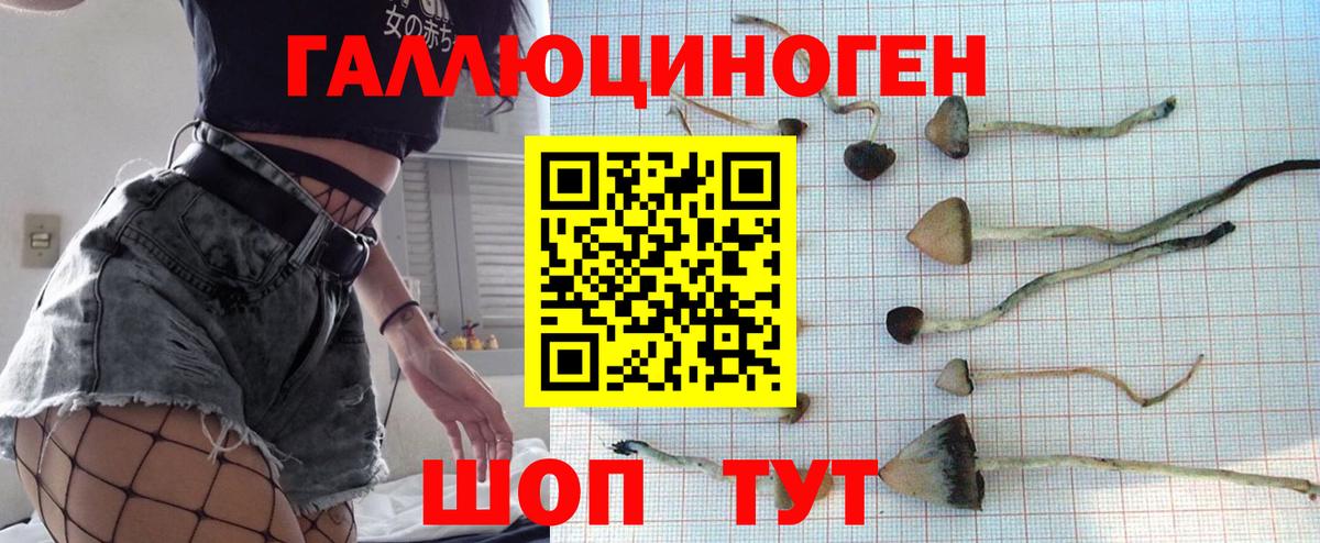 Октябрьский  Галлюциногенные грибы Cubensis  Вход с VPN  Галлюциногенные грибы прущие грибы 