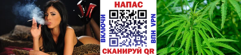 магазин продажи   Октябрьский  Конопля SATIVA & INDICA 